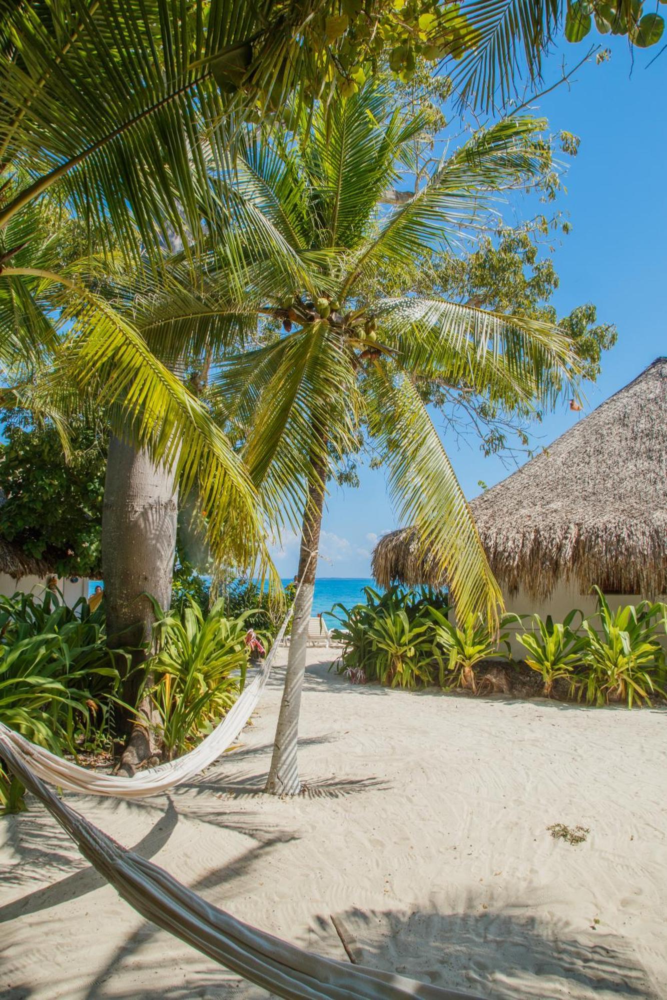 Hotel Isla Del Pirata Isla Grande Kültér fotó